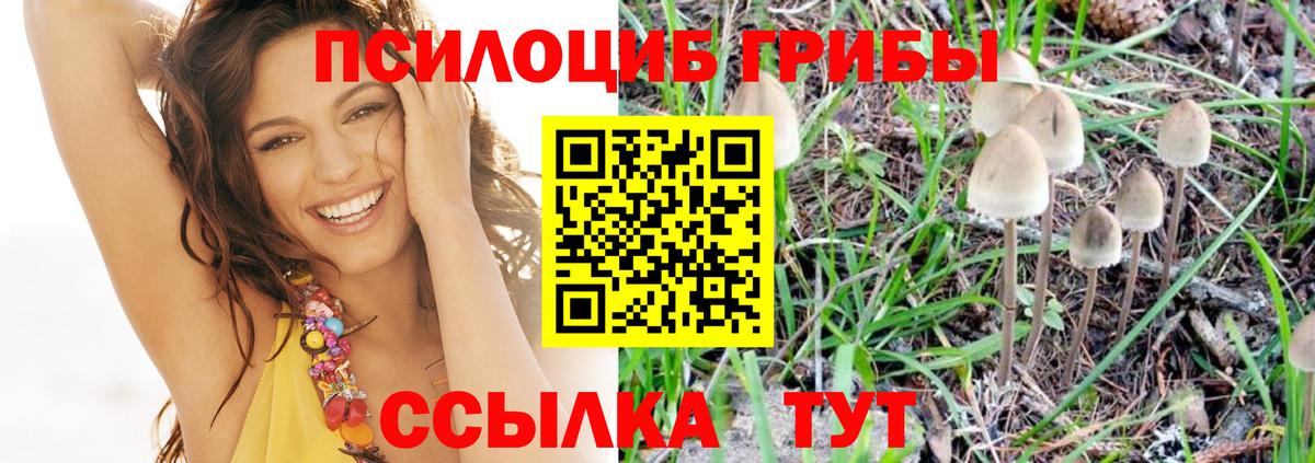 Киселёвск  Псилоцибиновые грибы прущие грибы  Галлюциногенные грибы Magic Shrooms  Вход с VPN 